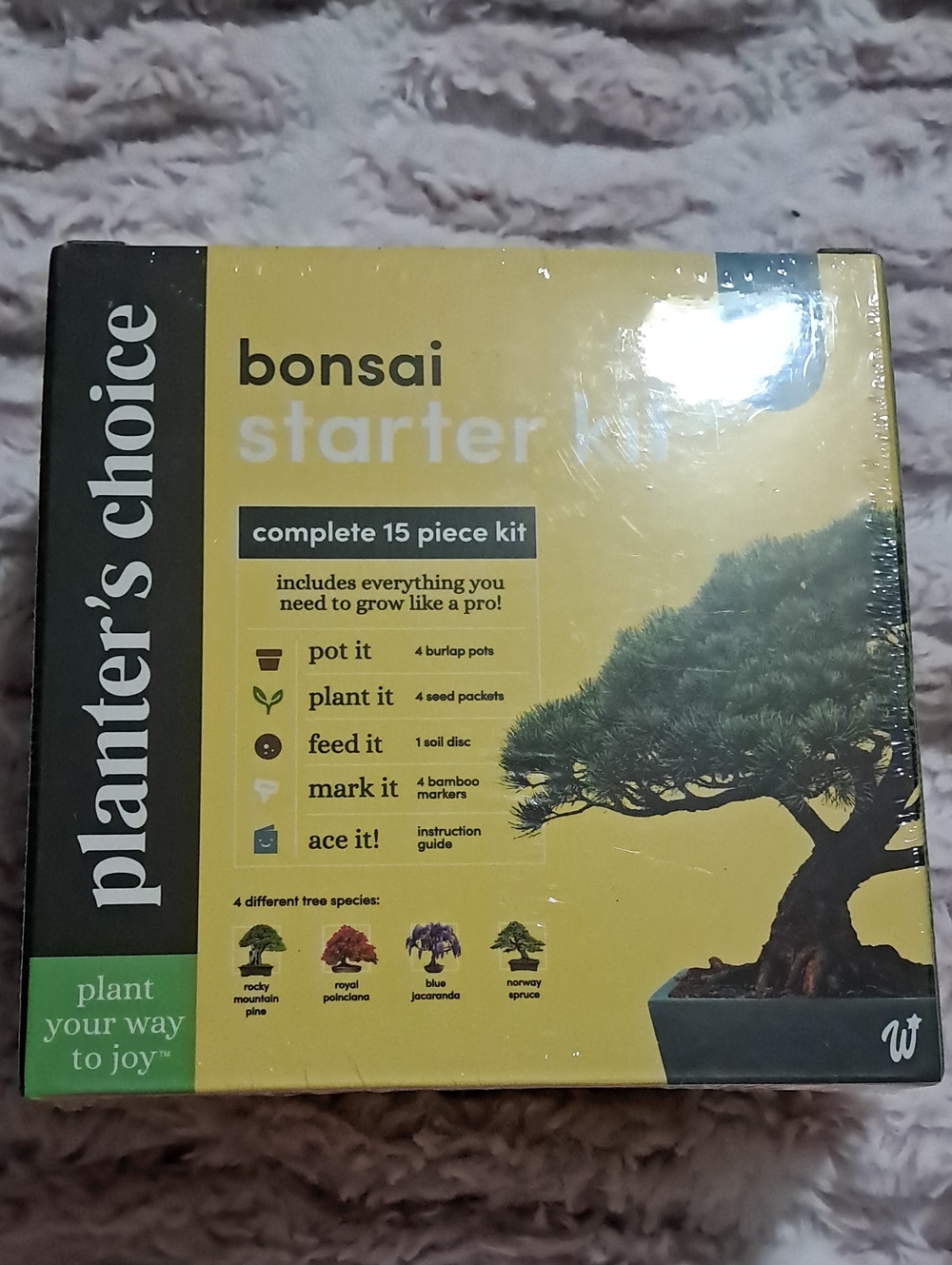 Bonsai Starter Kit - Yellow